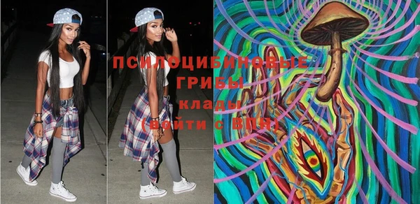 крисы Бугульма