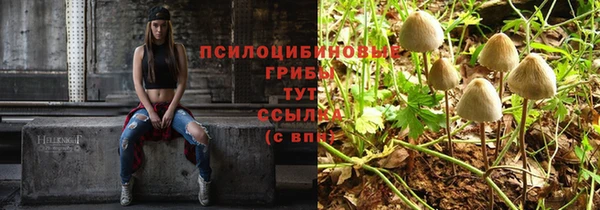 ALPHA-PVP Бородино