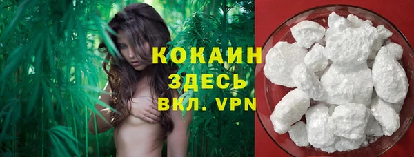 крисы Бугульма