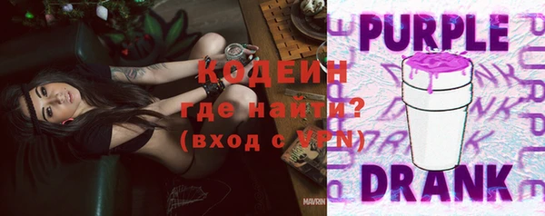 соль ск Ельня