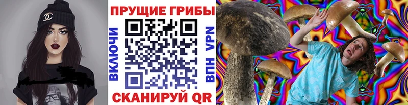 Псилоцибиновые грибы MAGIC MUSHROOMS  наркотики  Вилючинск 